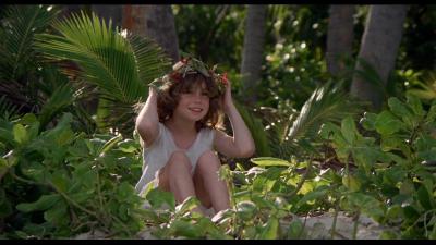 青春珊瑚岛剧照的剧照