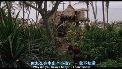 青春珊瑚岛剧照的剧照