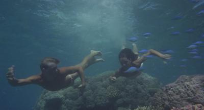 青春珊瑚岛剧照的剧照