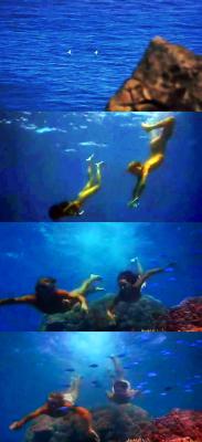 青春珊瑚岛剧照的剧照