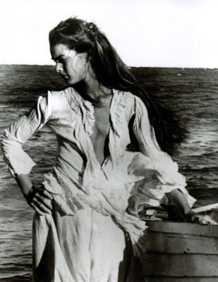 青春珊瑚岛剧照的剧照