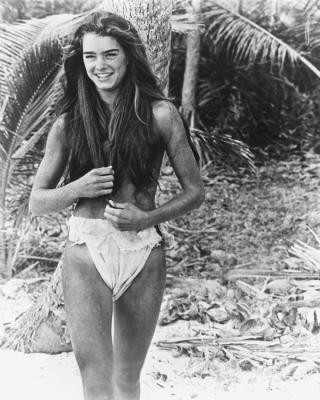 青春珊瑚岛剧照的剧照