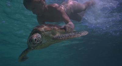 青春珊瑚岛剧照的剧照