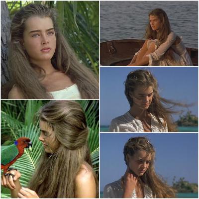 青春珊瑚岛剧照的剧照