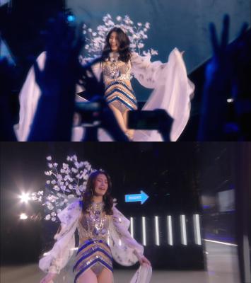 维多利亚的秘密2017时装秀剧照的剧照