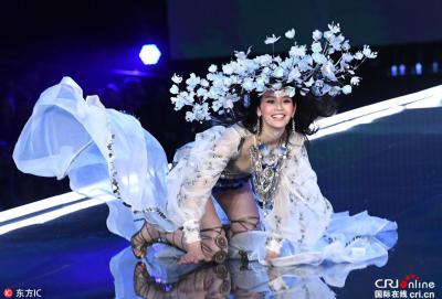 维多利亚的秘密2017时装秀剧照的剧照