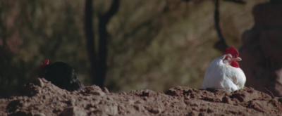 比利小子剧照的剧照