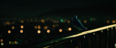 目击者之追凶剧照的剧照