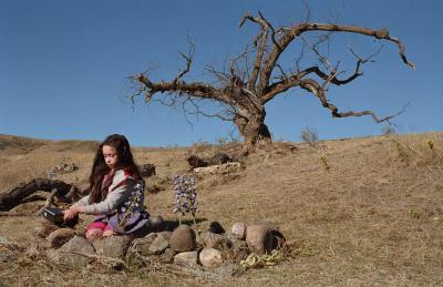 潮涨海岸剧照的剧照