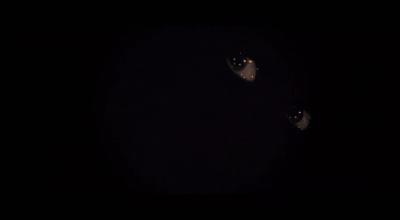 潮涨海岸剧照的剧照