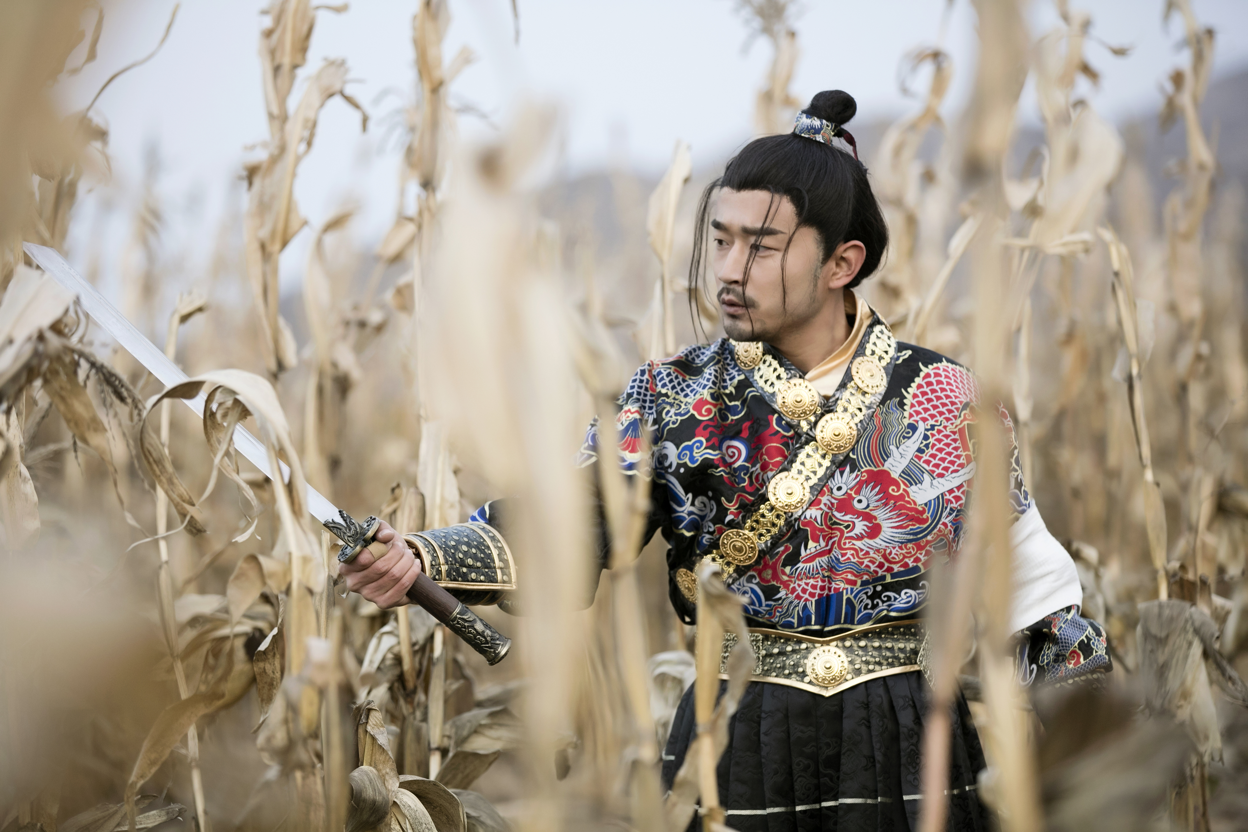 大漠孤侠剧照的剧照