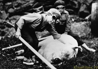 侏儒流氓剧照的剧照