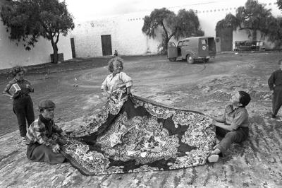 侏儒流氓剧照的剧照