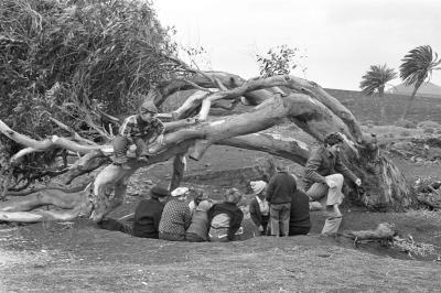 侏儒流氓剧照的剧照