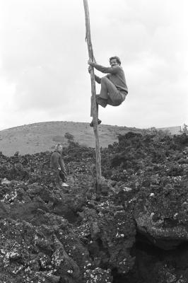侏儒流氓剧照的剧照