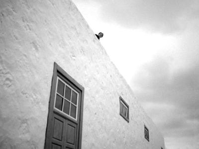 侏儒流氓剧照的剧照