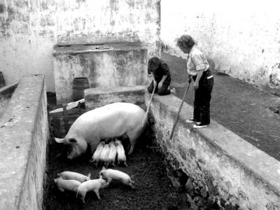 侏儒流氓剧照的剧照