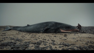 鲸之谷剧照的剧照