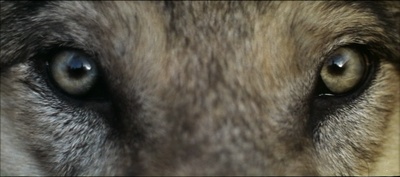 战争与和平2：娜塔莎·罗斯托娃剧照的剧照