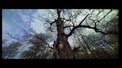 战争与和平2：娜塔莎·罗斯托娃剧照的剧照