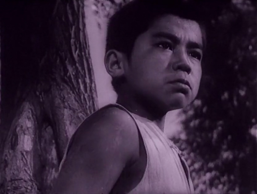 小兵张嘎剧照的剧照