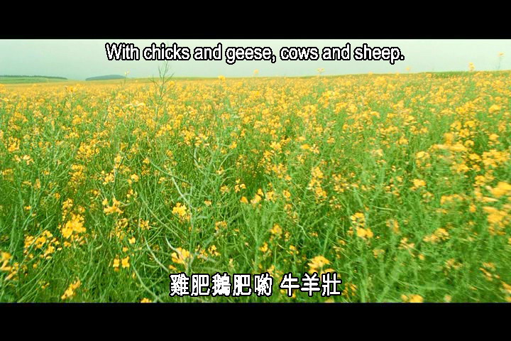 大兵小将剧照的剧照