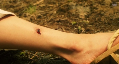 珍游记剧照的剧照