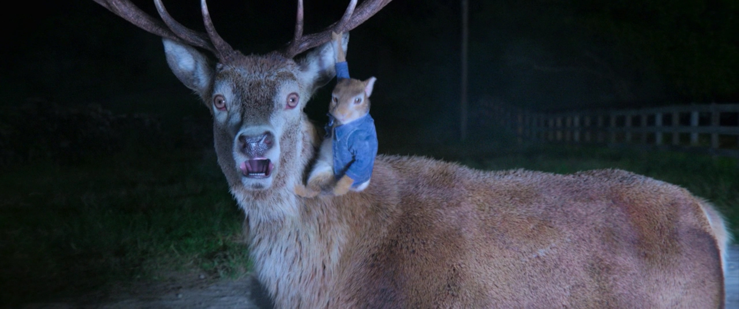 比得兔剧照的剧照