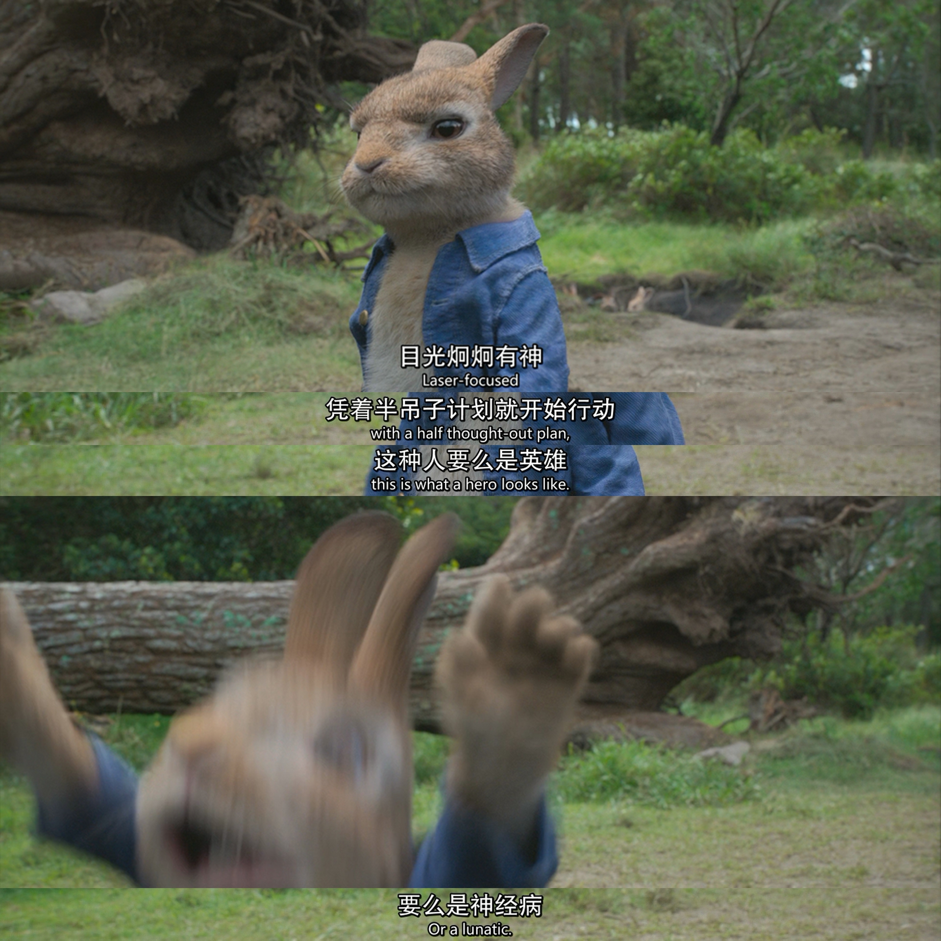 比得兔剧照的剧照