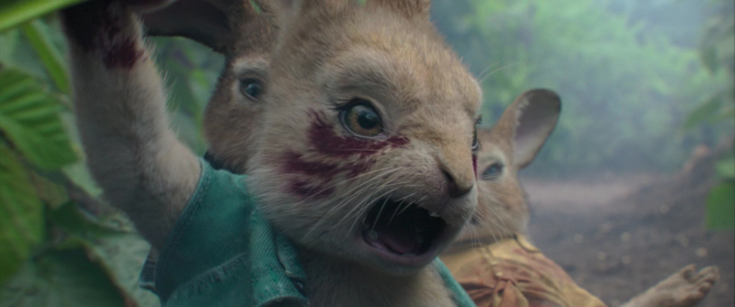 比得兔剧照的剧照