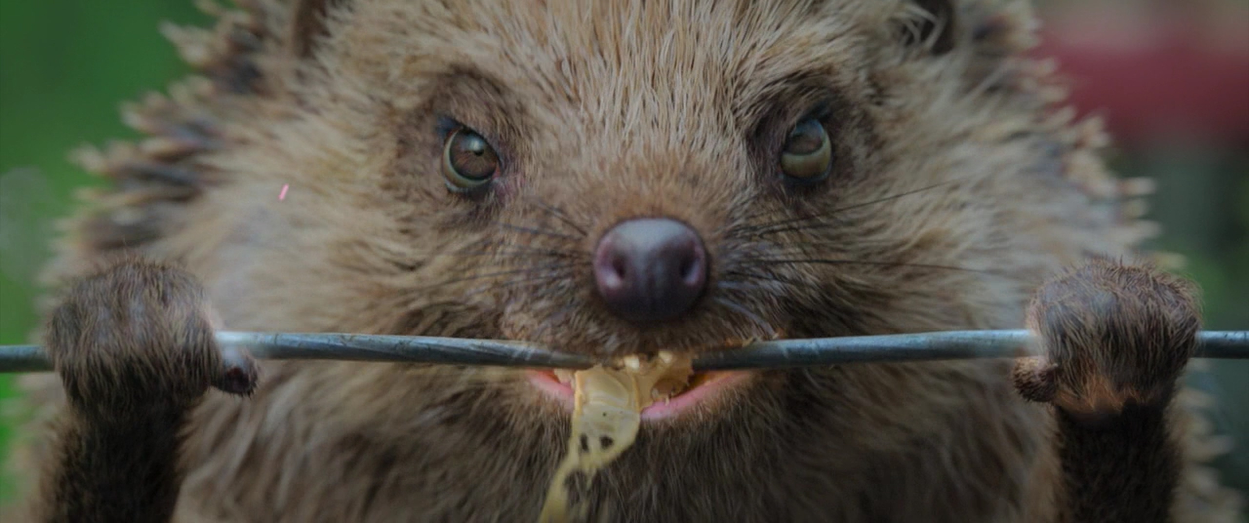 比得兔剧照的剧照