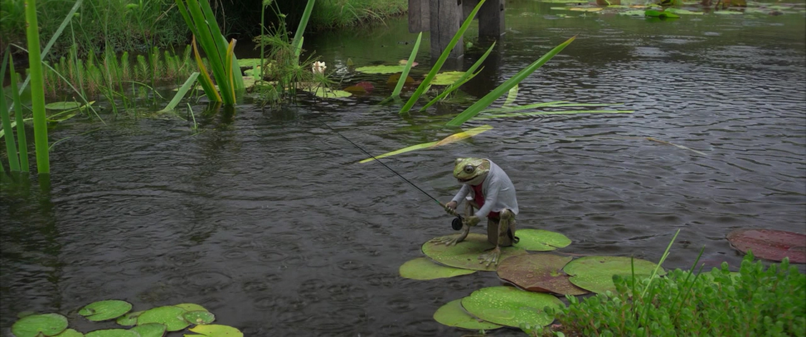 比得兔剧照的剧照
