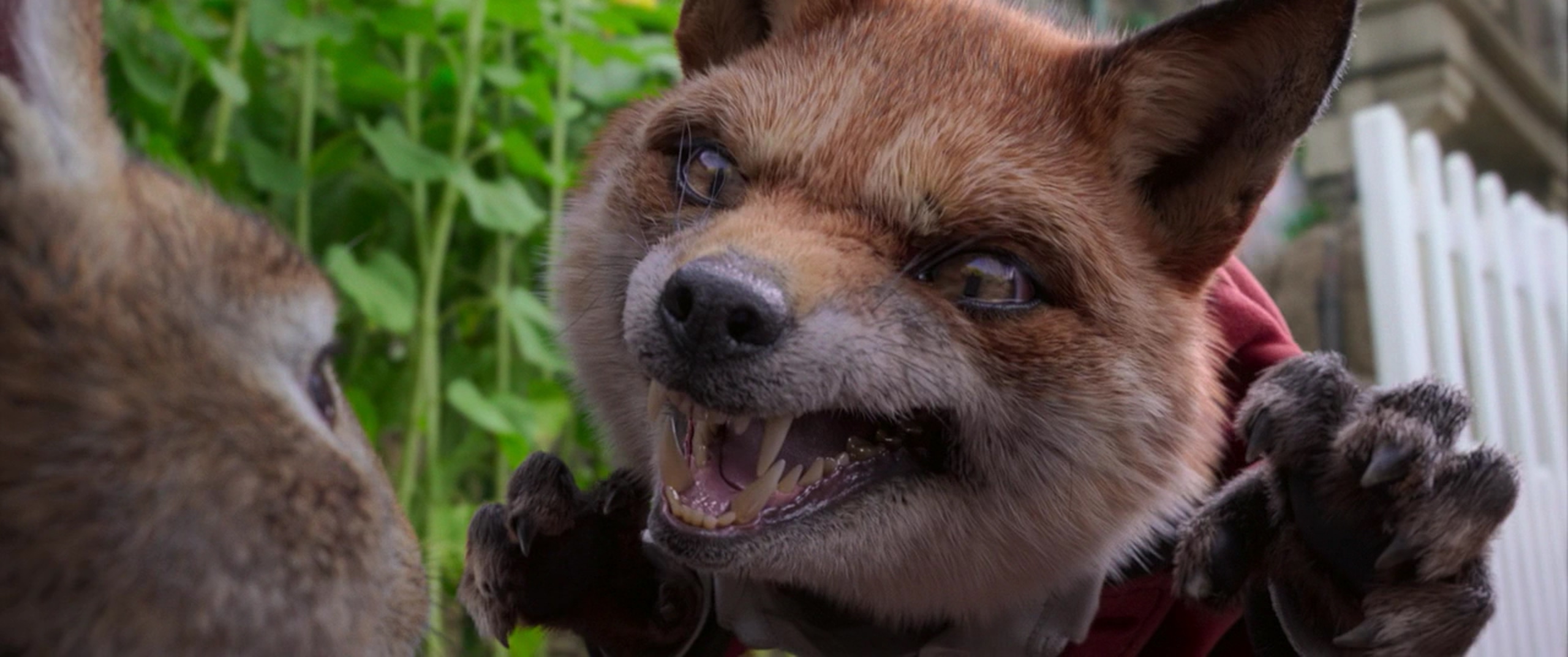 比得兔剧照的剧照