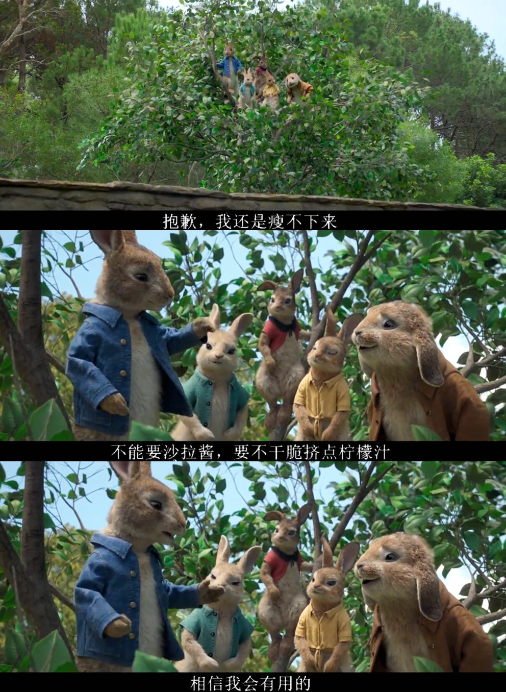 比得兔剧照的剧照