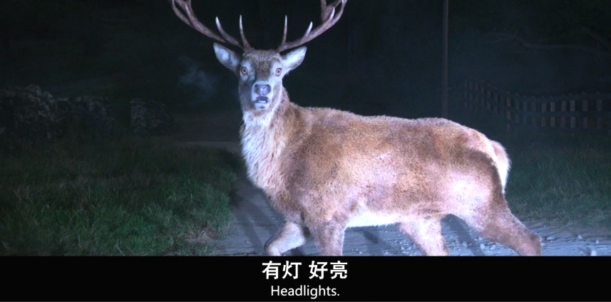 比得兔剧照的剧照