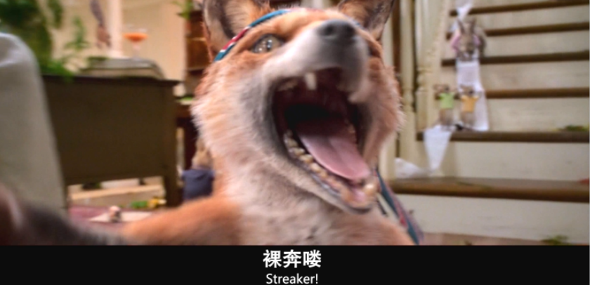 比得兔剧照的剧照