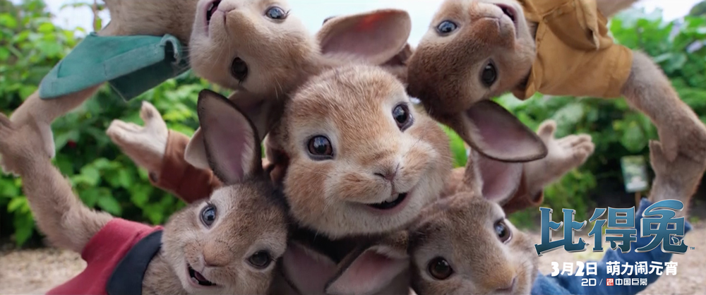 比得兔剧照的剧照