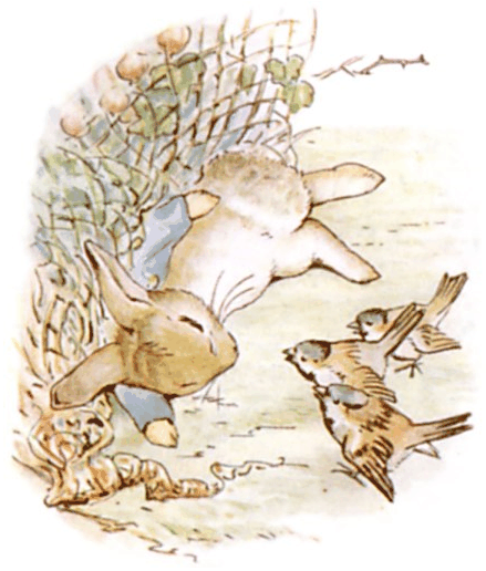 比得兔剧照的剧照