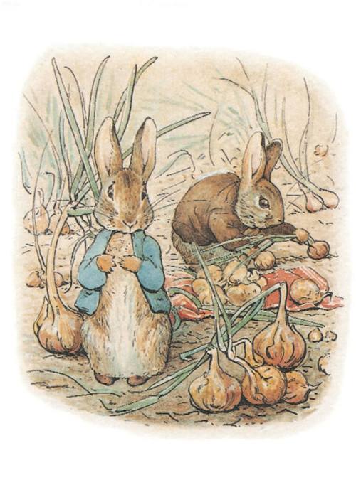 比得兔剧照的剧照