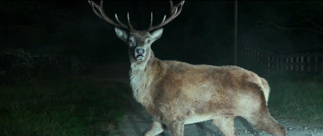 比得兔剧照的剧照