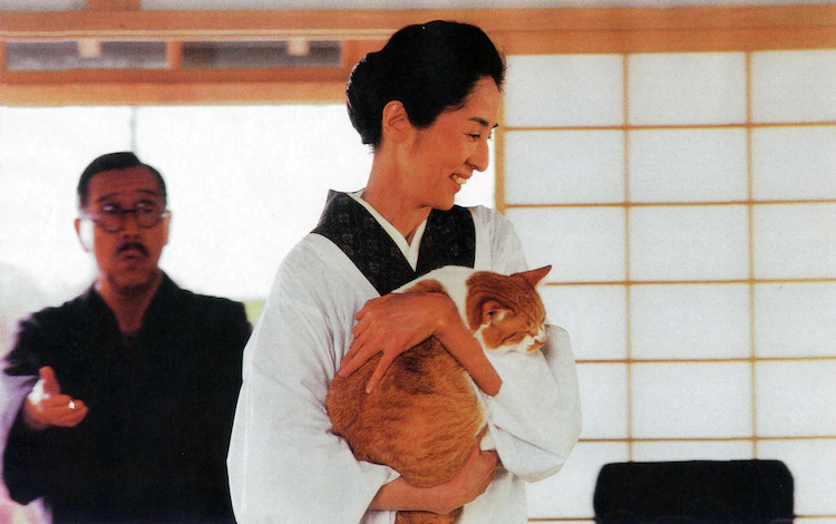 袅袅夕阳情剧照的剧照