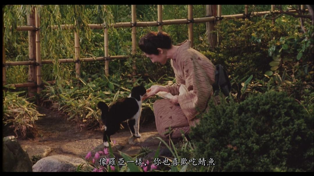 袅袅夕阳情剧照的剧照