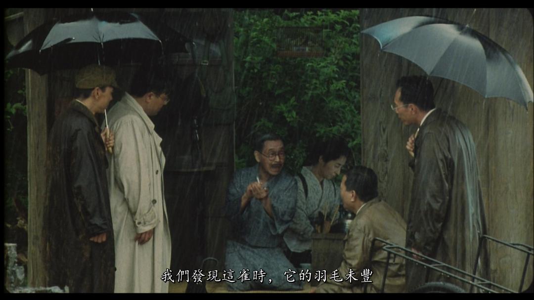 袅袅夕阳情剧照的剧照