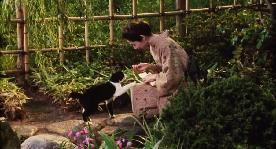 袅袅夕阳情剧照的剧照