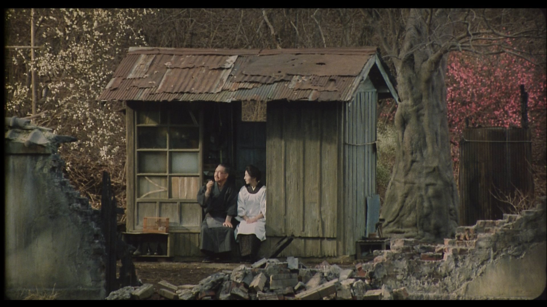 袅袅夕阳情剧照的剧照