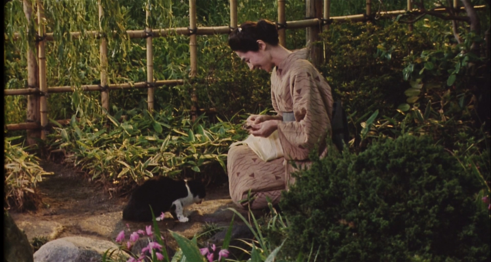 袅袅夕阳情剧照的剧照