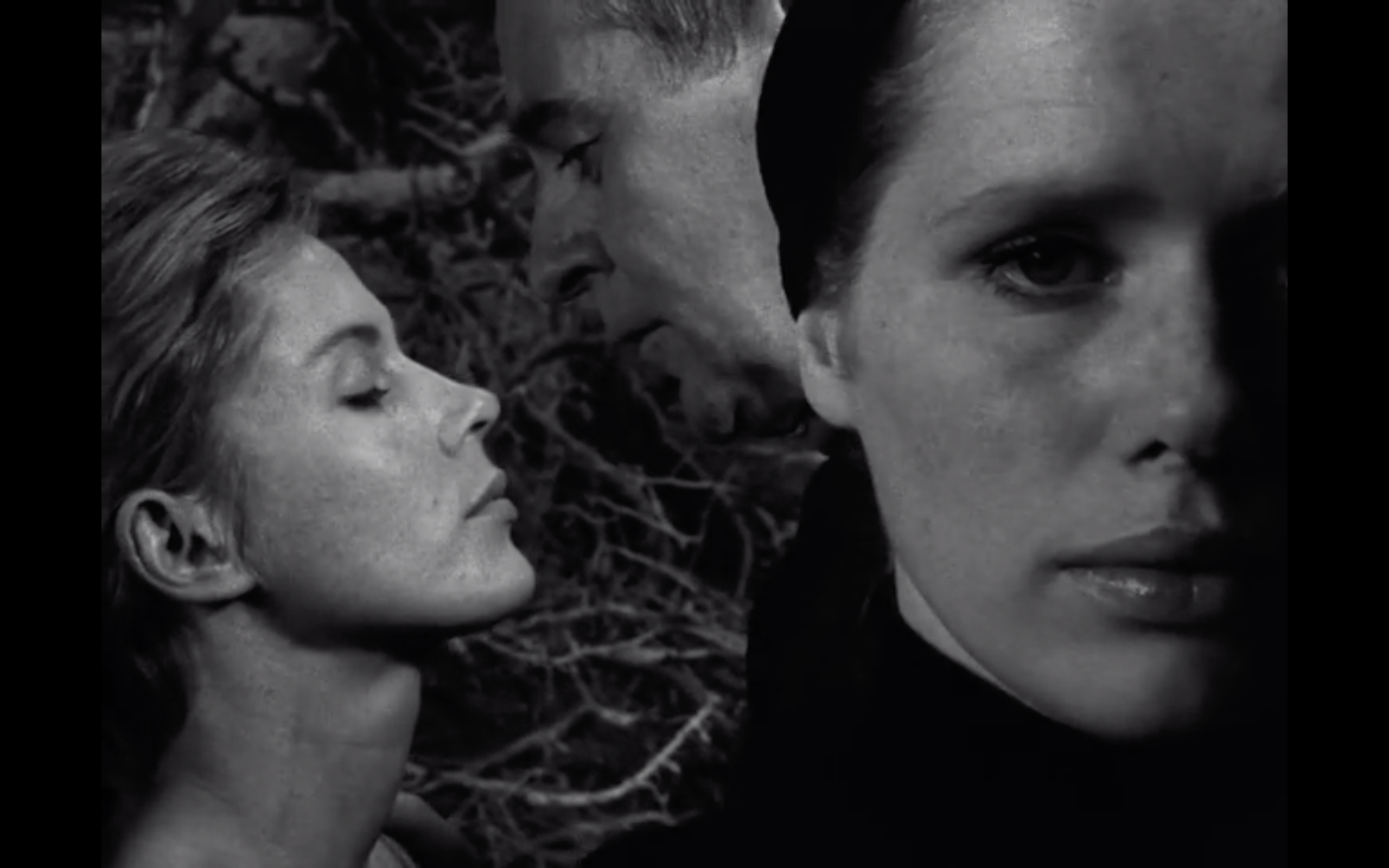 假面剧照的剧照