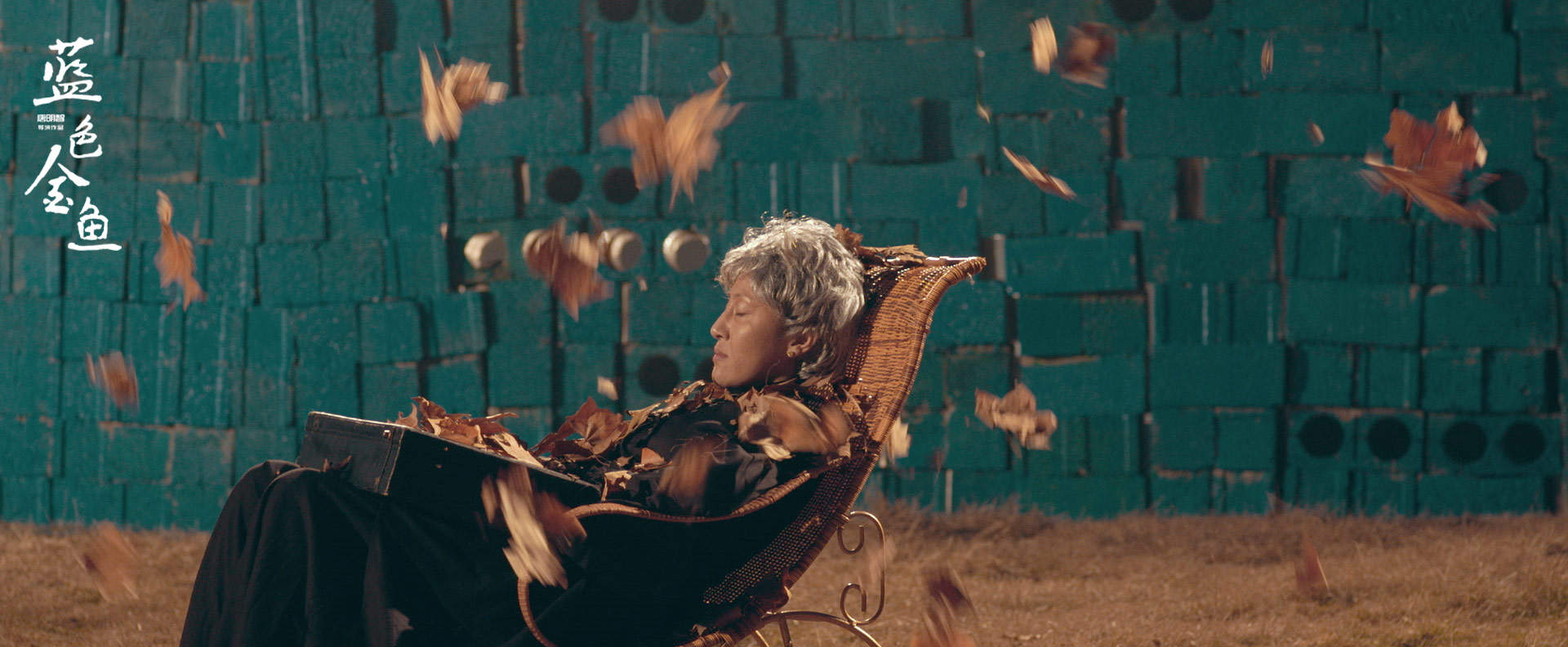 蓝色金鱼剧照的剧照