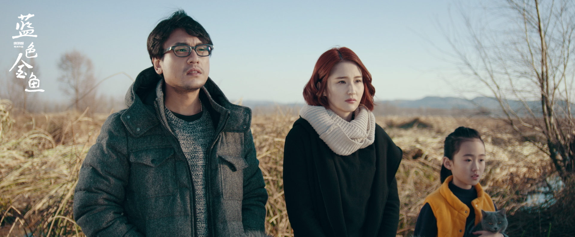 蓝色金鱼剧照的剧照