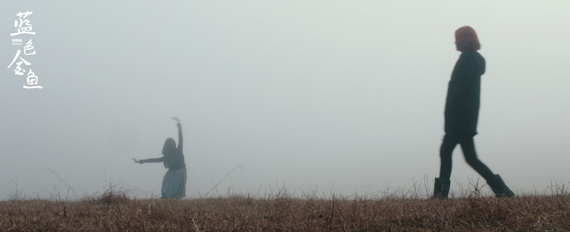 蓝色金鱼剧照的剧照